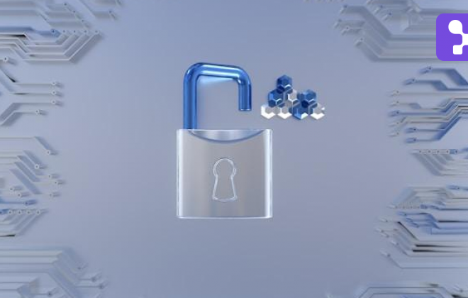 ciber seguridad
